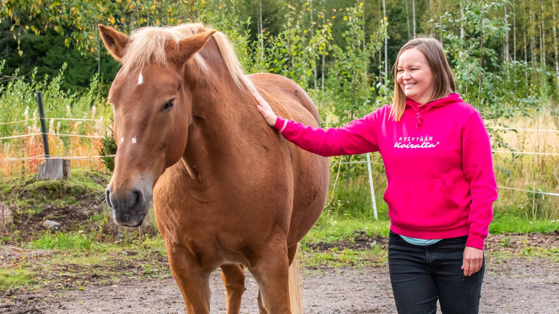 Vedenjakajatilanteet ja järkevät valinnat | Eläinkoulutus