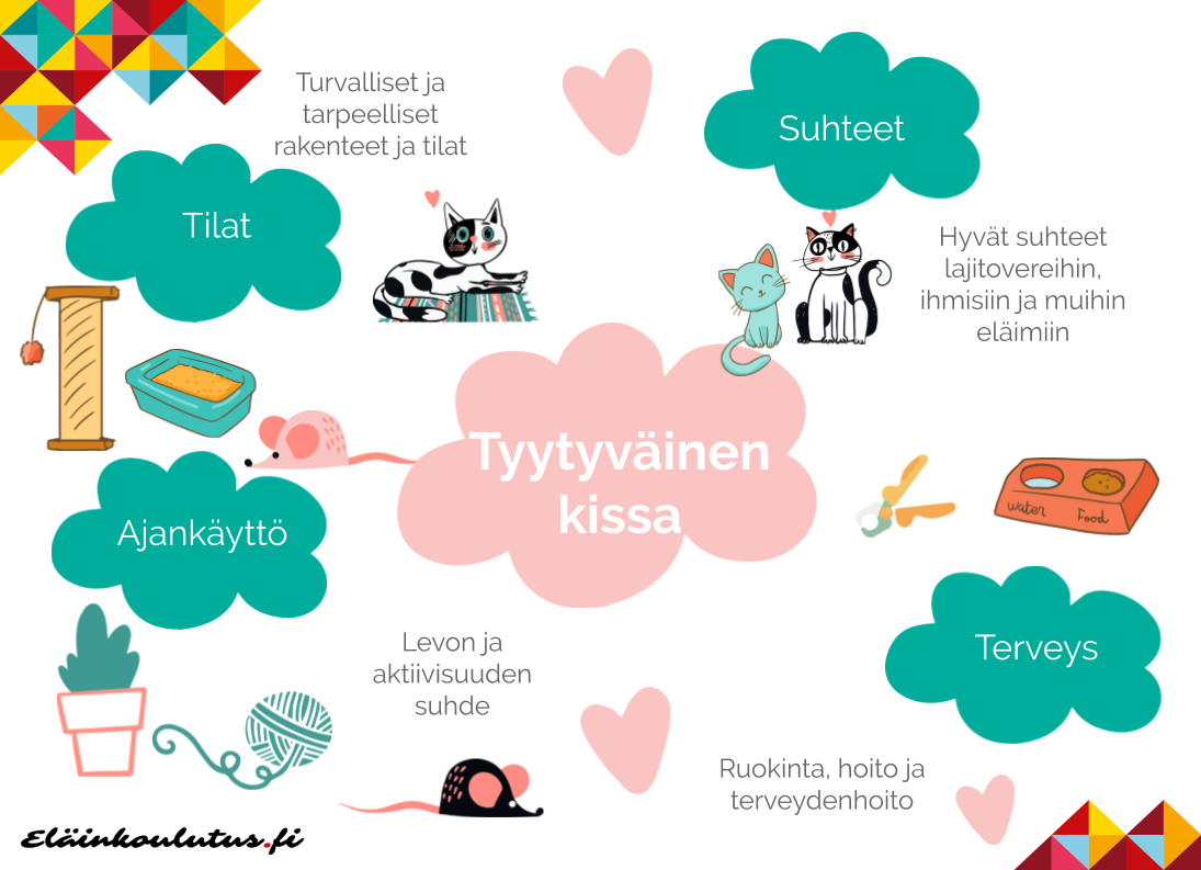 Kissa herättää öisin | Eläinkoulutus