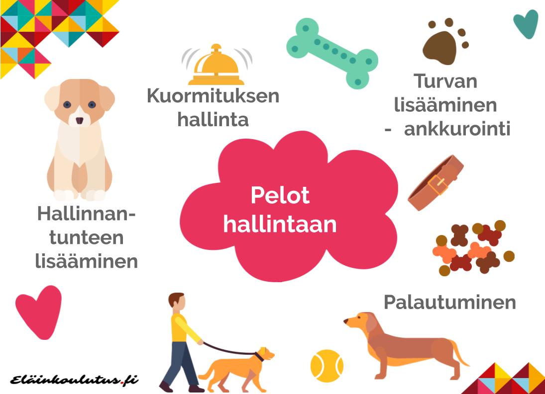 Tyytyväinen koira - pelot hallintaan | Eläinkoulutus