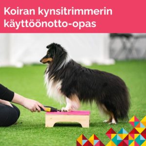 koiran kynsitrimmeri