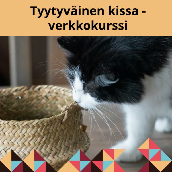 Tyytyväinen kissa, onnellinen omistaja
