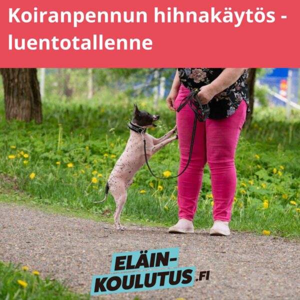 Koiranpennun hihnakäytös - luentotallenne