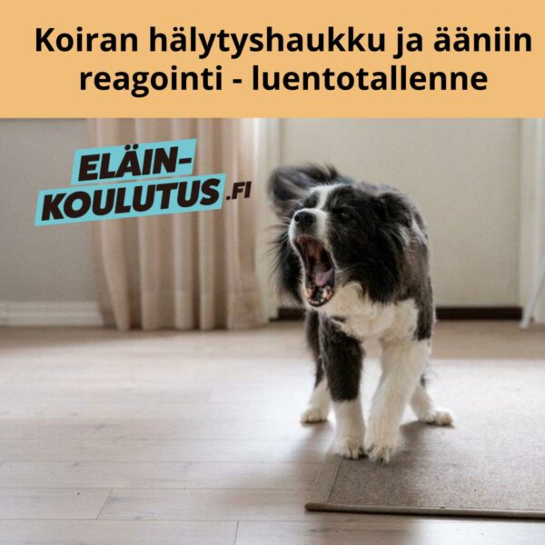 Koiran hälytyshaukku ja ääniin reagointi - luentotallenne