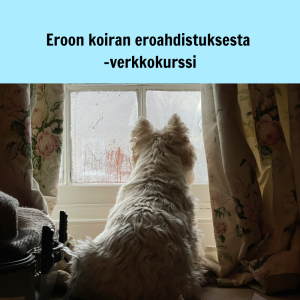 Eroon koiran eroahdistuksesta -verkkokurssi