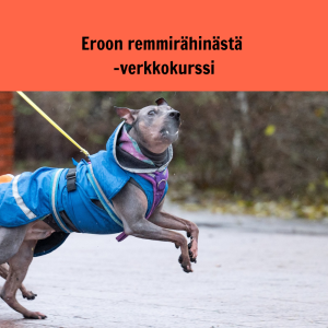 Eroon remmirähinästä-verkkokurssi