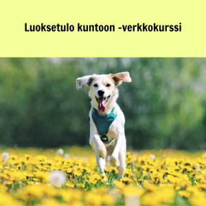 Koiran luoksetulo kuntoon