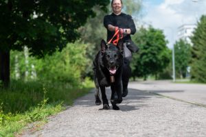 Luku 03: Kuunneltavaa matkalle