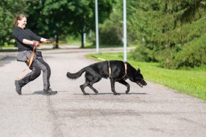 LUKU 16 Sujuva lenkki rakentuu pienistä valinnoista
